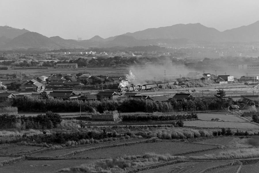 �m�y���E�f���w��Ԍ������i�E39670