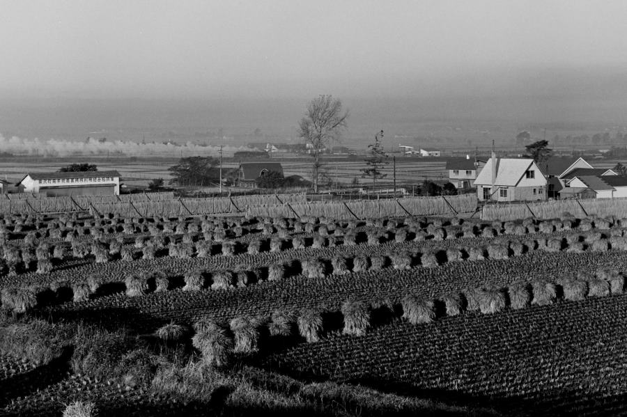 肩dHW/{EIw-IuwԁED51P@