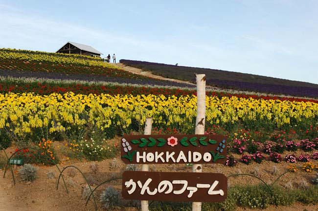 富良野