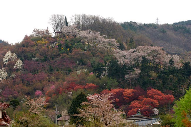 hanami