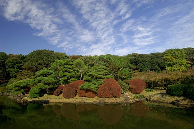 植物園