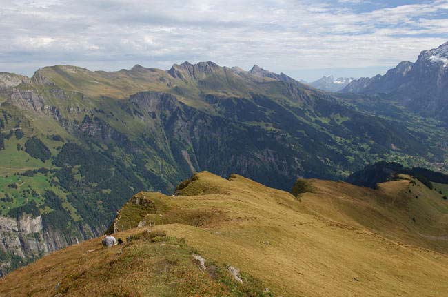 Grindelwald