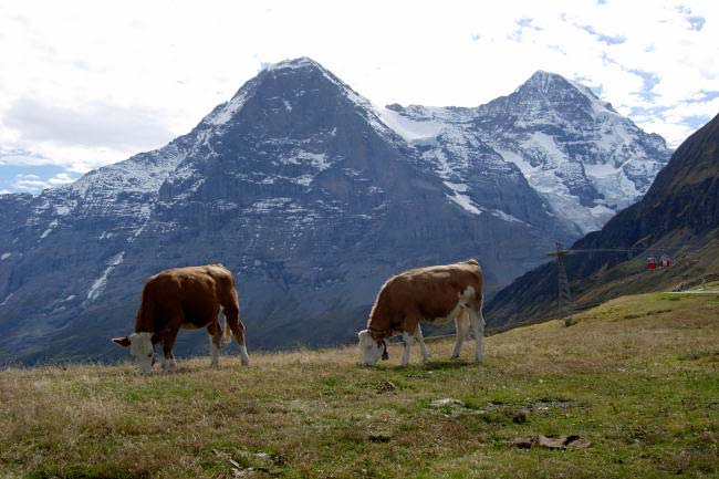 Grindelwald