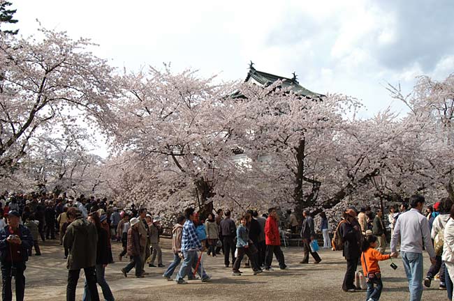 hirosaki