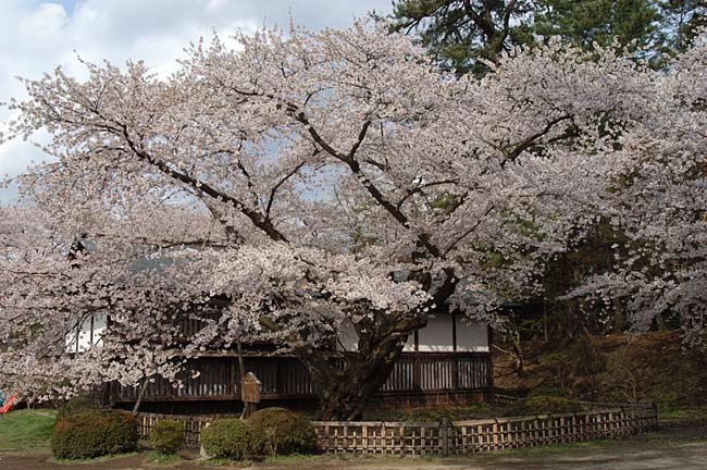 hirosaki