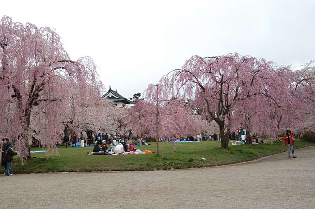 hirosaki