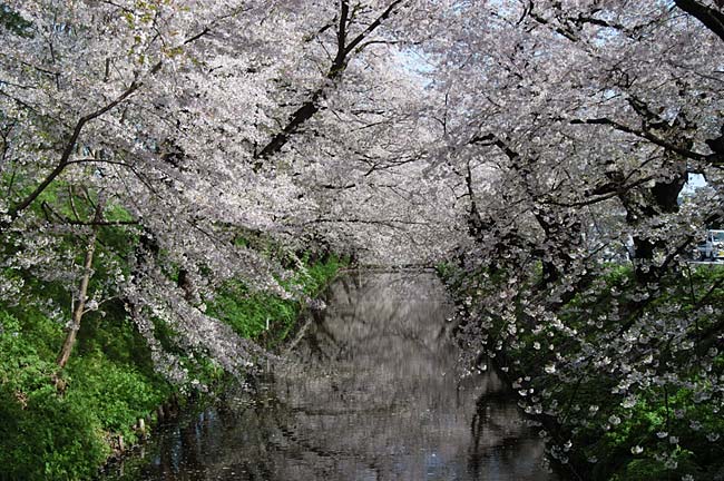 hirosaki