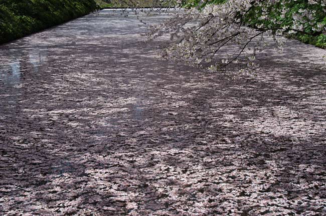 hirosaki