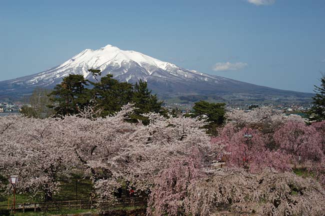 hirosaki