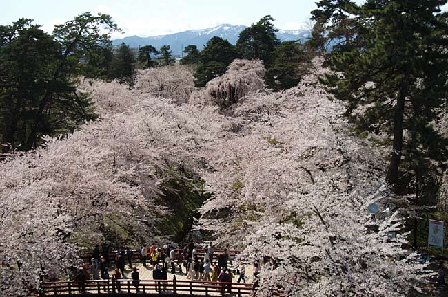 hirosaki