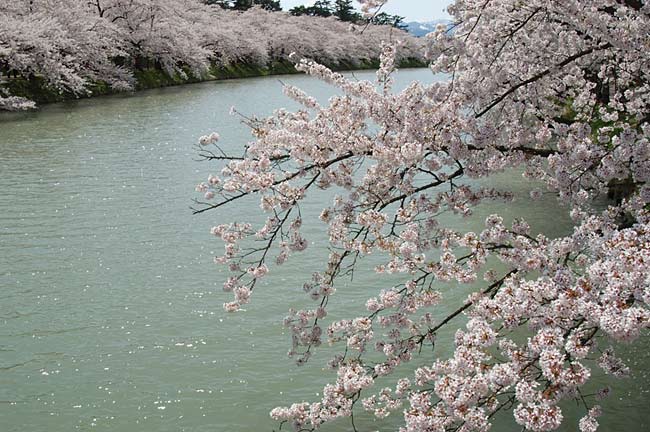 hirosaki