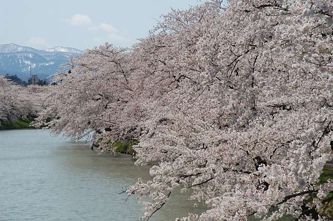 hirosaki