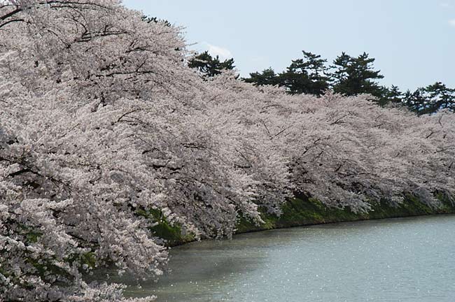 hirosaki