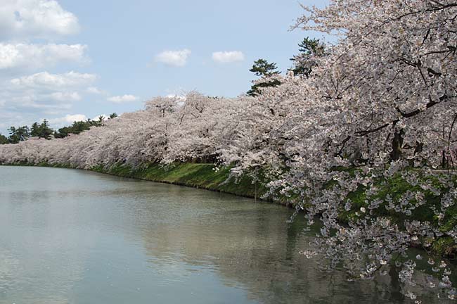 hirosaki