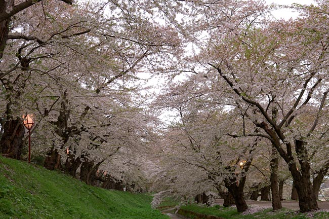 hirosaki