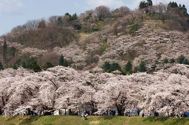 kakunodate