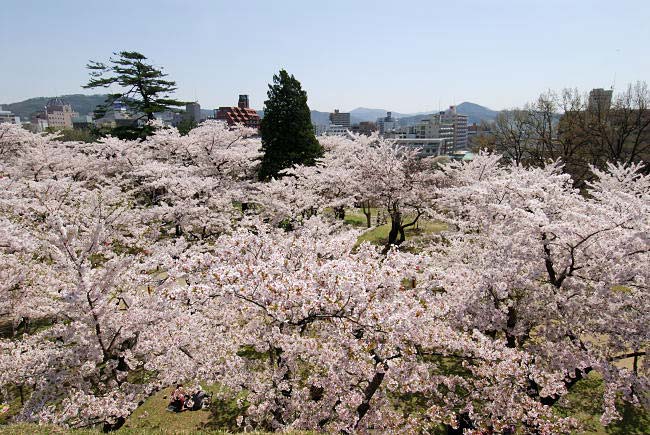 morioka