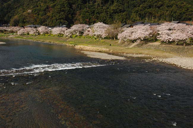 kintaikyo