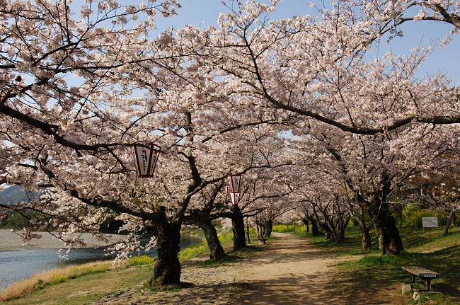 kintaikyo