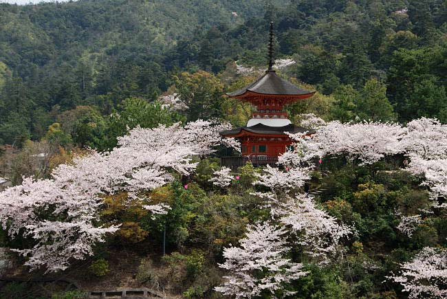 miyajima