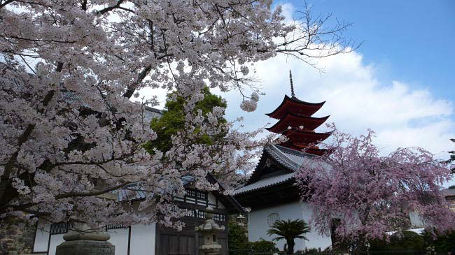 miyajima