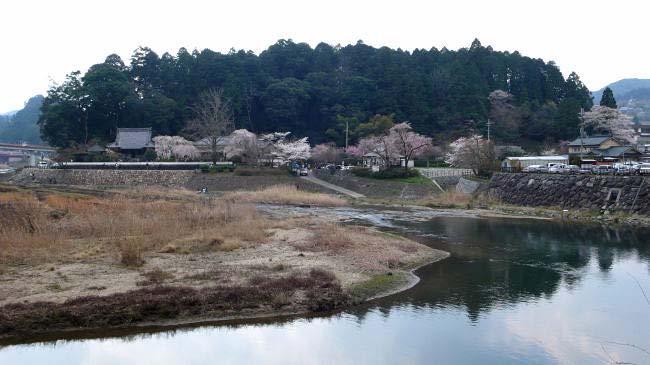 oonoji