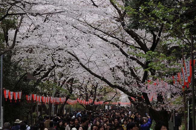 tokyo