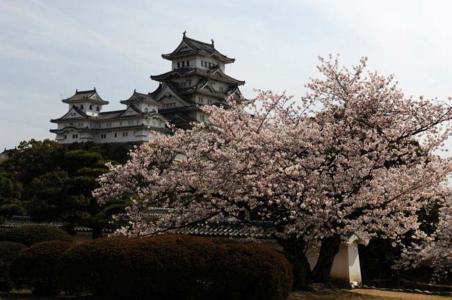 himeji