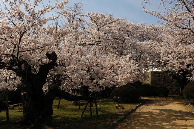 himeji