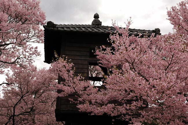 nagano