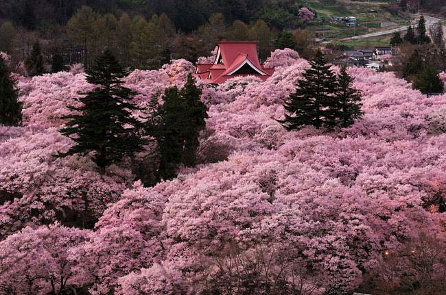 nagano