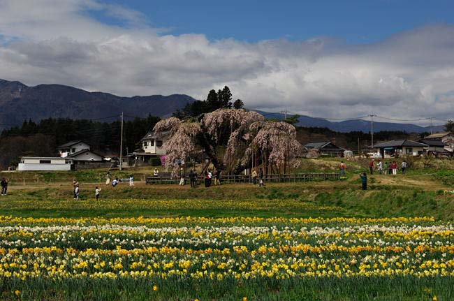 nagano