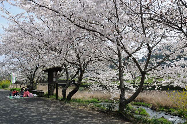 kumamoto