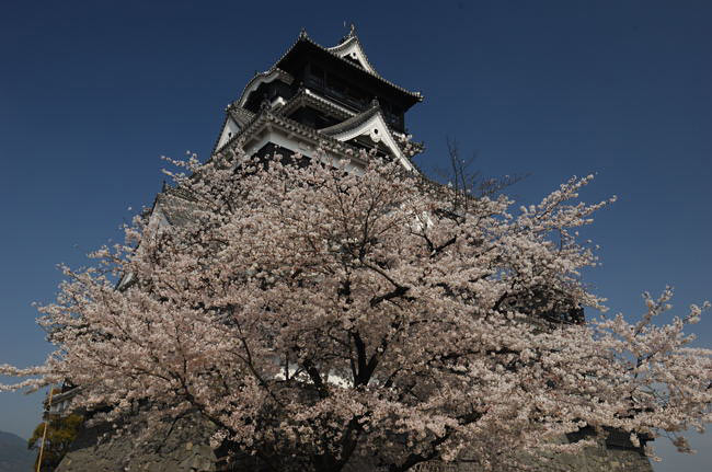 kumamoto