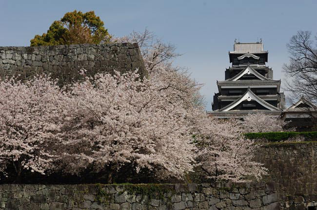 kumamoto