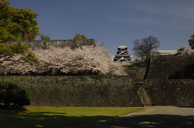 kumamoto