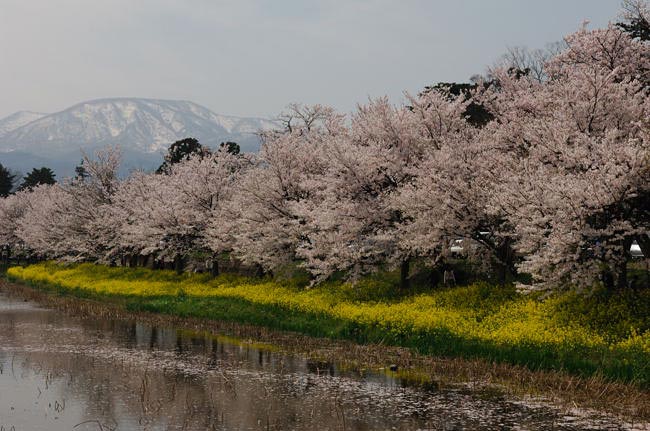 takada