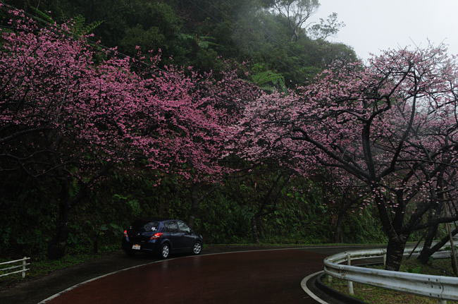 okinawa