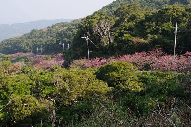 okinawa