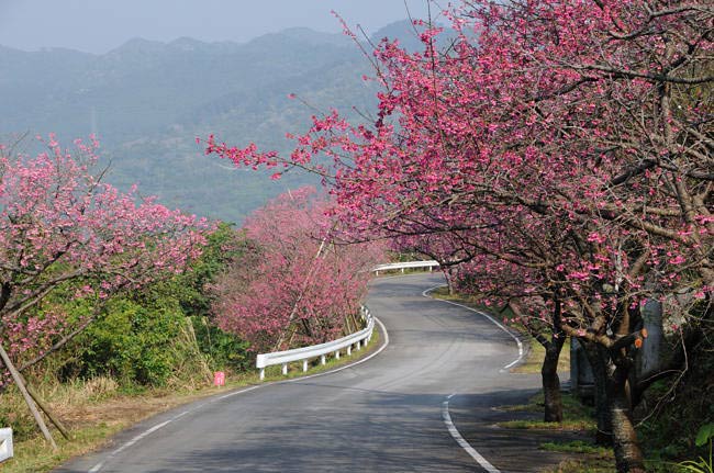 okinawa