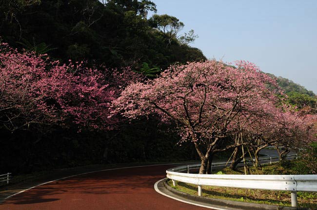 okinawa