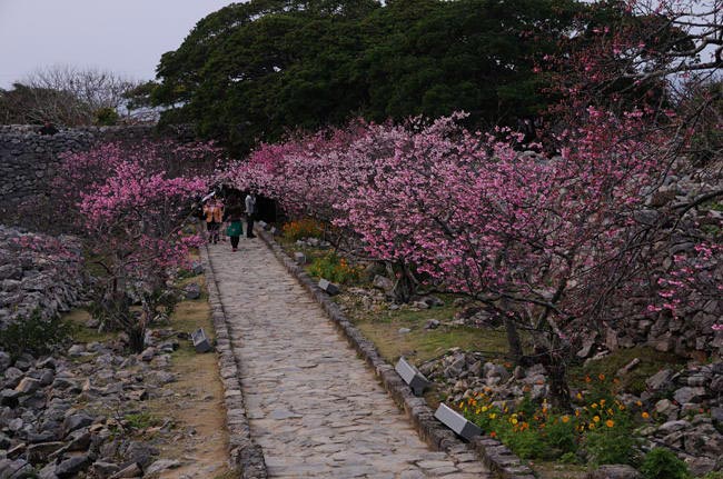 okinawa