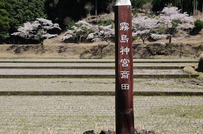 kagoshima