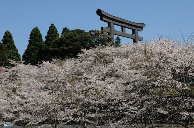 kagoshima