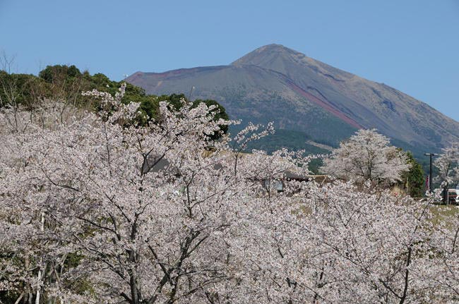 kagoshima