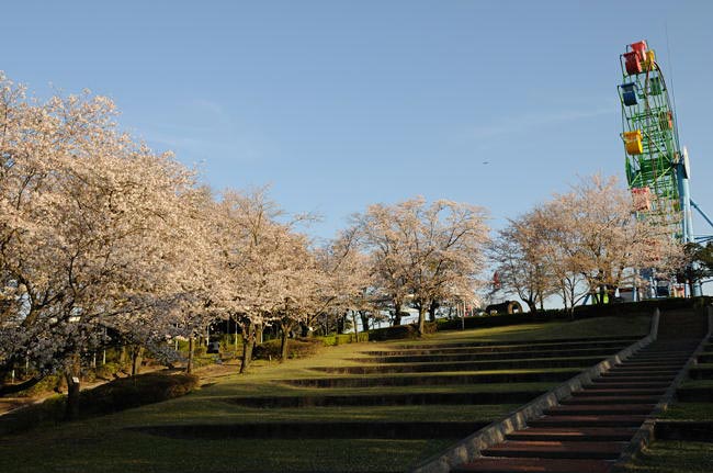 kagoshima