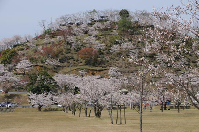 kagoshima