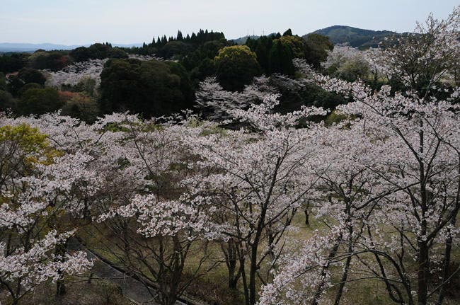 kagoshima