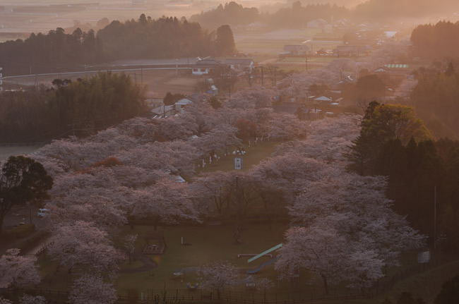 miyazaki