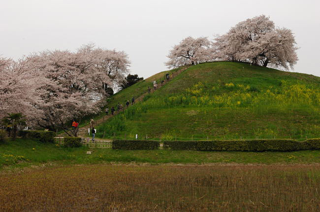 saitama